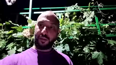 wildcrazypussy online show from July 17, 10:55 pm