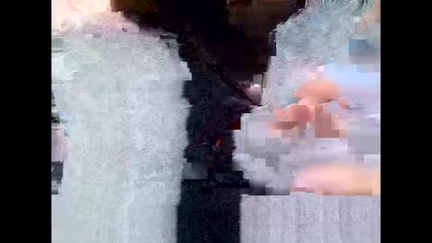 Wild online show from May 31, 8:35 am