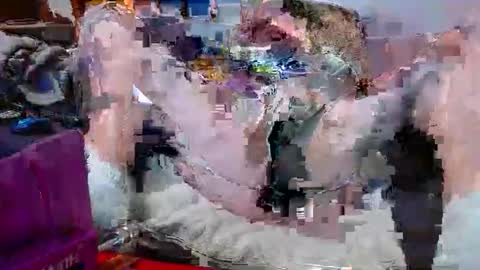 wildfreek6969 online show from March 16, 4:26 am