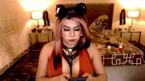 wildtransjhade online show from January 19, 12:38 am
