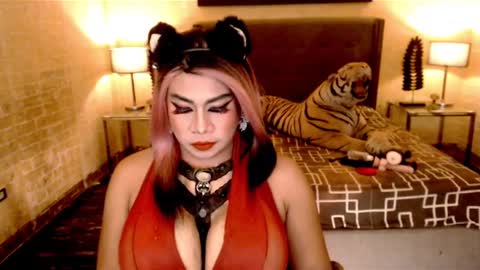 wildtransjhade online show from January 20, 10:15 pm