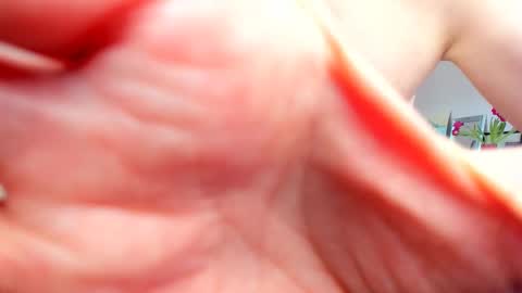 Wilhelmina better Willy online show from February 20, 9:55 am