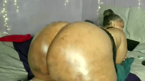 wilmaassylum online show from June 26, 8:31 am
