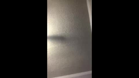 Woodpipe69 online show from December 23, 3:00 pm