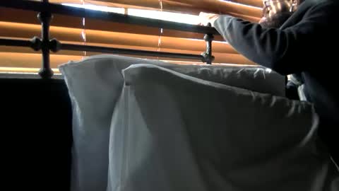 woof_wolf37 online show from February 5, 5:16 pm