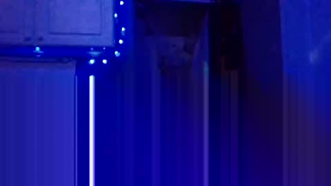 Snapshot of wundrsword33 chatting on January 5, 7:28 pm BONER DONOR online show from January 5, 7:28 pm