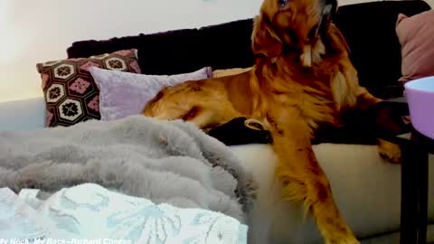 Snapshot of x_lily_x chatting on January 15, 2:38 am Lily online show from January 15, 2:38 am