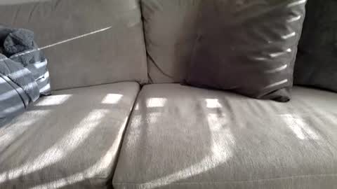 xarizonamikex online show from June 29, 1:33 pm