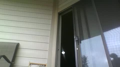 Ximora online show from January 5, 5:27 pm