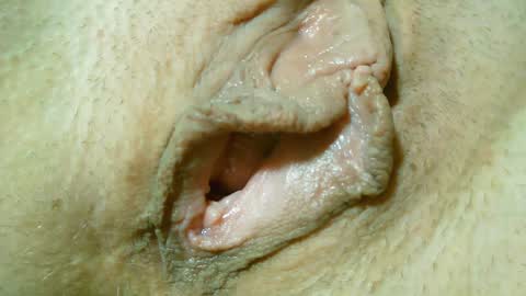 Snapshot of xollan chatting on January 31, 12:50 am Lost in Lust online show from January 31, 12:50 am