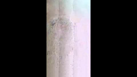 xxjessiebugxx online show from May 13, 3:16 am