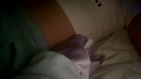 xxxsophiaday online show from October 4, 8:56 am