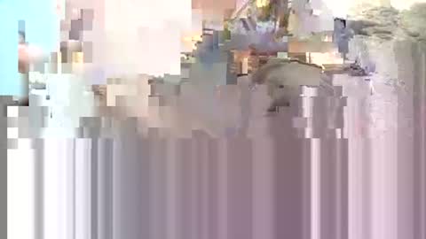 yangolox3 online show from March 7, 5:24 pm