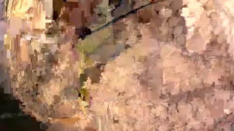 yasminfol online show from March 1, 2:26 am