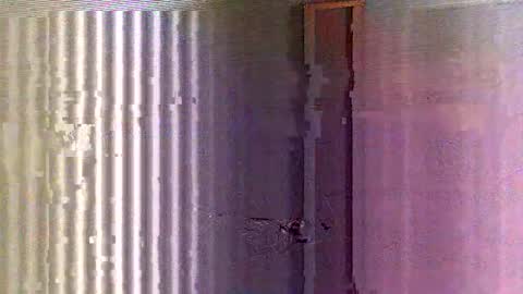 yorel64 online show from February 16, 6:10 pm