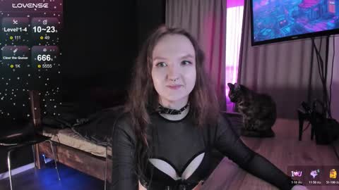 Bunny online show from November 11, 12:40 pm