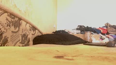 Emily online show from June 29, 10:15 am