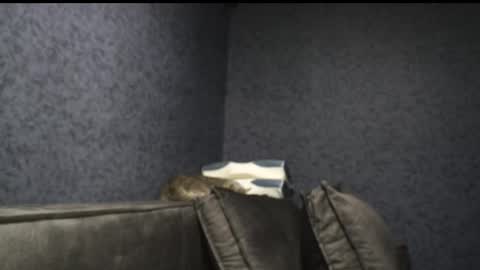 Meri  online show from November 14, 10:00 pm