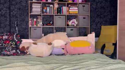 Mia online show from February 17, 3:44 pm