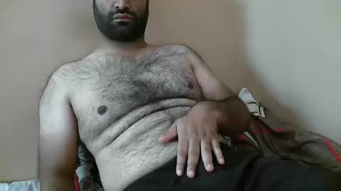 Bi BearXXX online show from October 8, 4:40 am