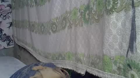 zarinamarlin online show from June 28, 2:35 pm