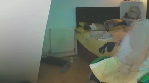 Zed online show from December 13, 1:44 pm