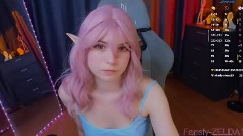 Zelda online show from July 26, 2:03 pm