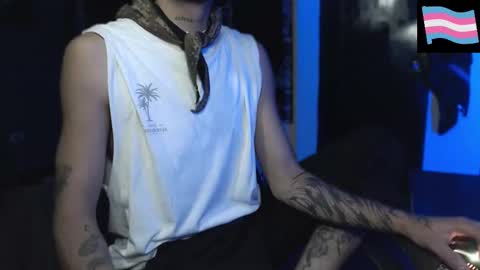 Zeldris online show from March 15, 12:26 am