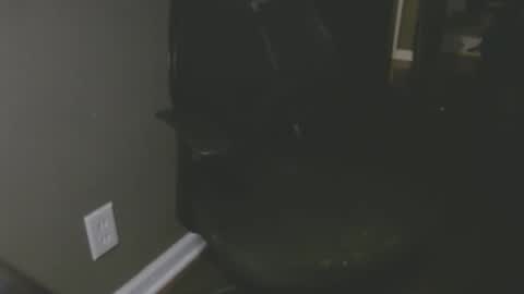 bambi cumslut online show from November 26, 2:31 am