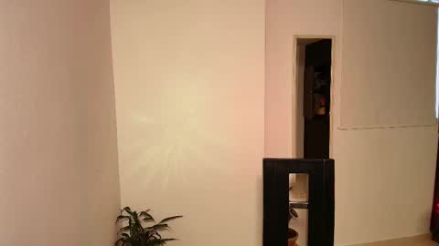 Zhara online show from November 13, 11:13 am