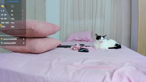 zoey  Independent model online show from September 29, 10:31 pm