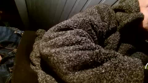 Snapshot of zolexthomas chatting on February 1, 7:55 pm zolexthomas online show from February 1, 7:55 pm