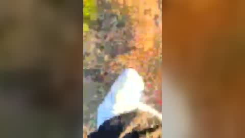 zoolilur online show from July 5, 3:31 am