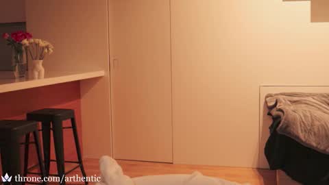  Birthday Stream - Dec 5 online show from January 17, 10:07 pm