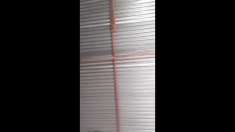 zzzlannimuslzzz online show from March 8, 10:03 pm